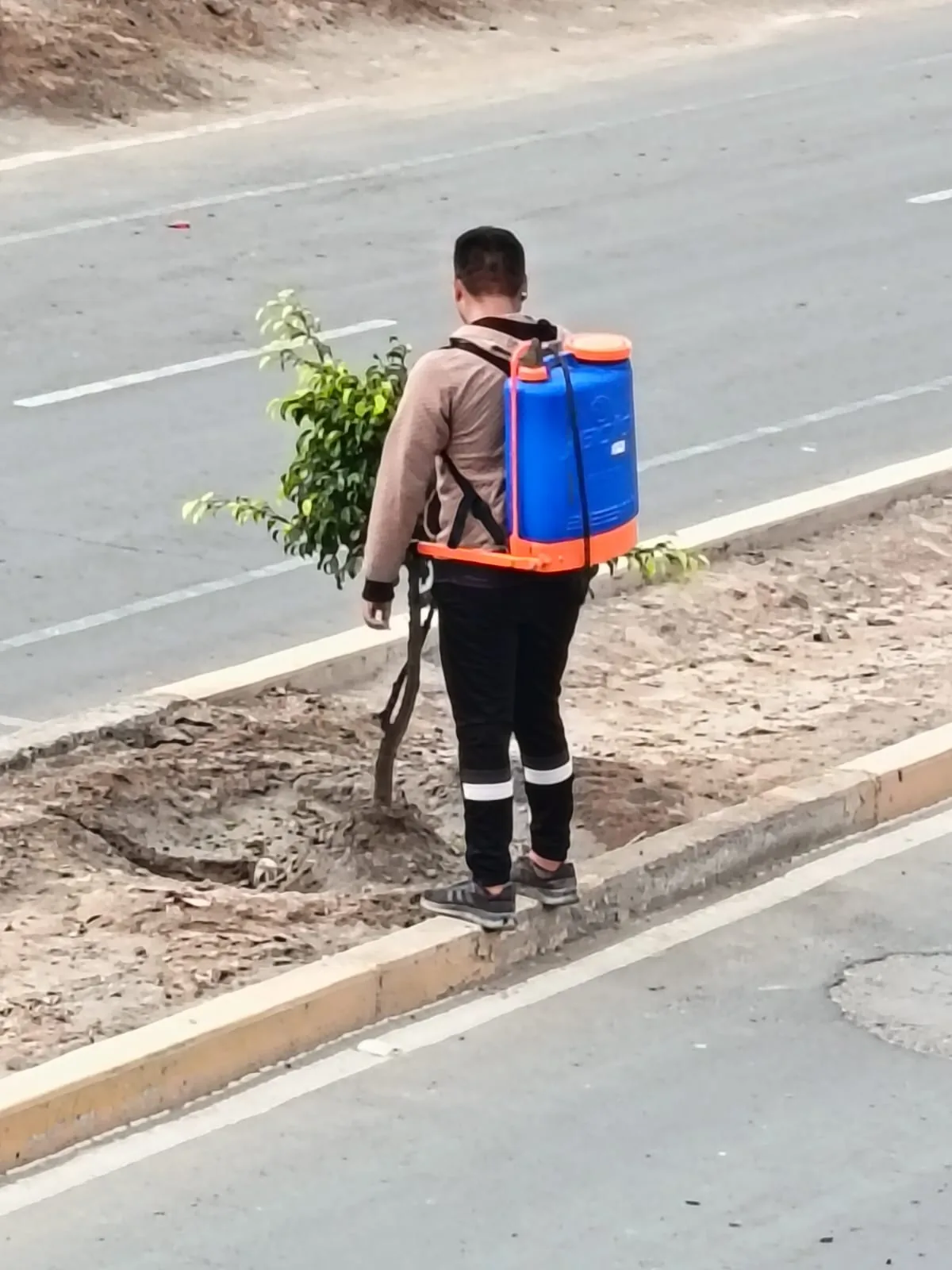 Apoyo técnico en campo